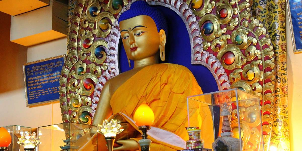 Chandigarh to Dharamshala: Himalayan Wellness & Bliss Tour