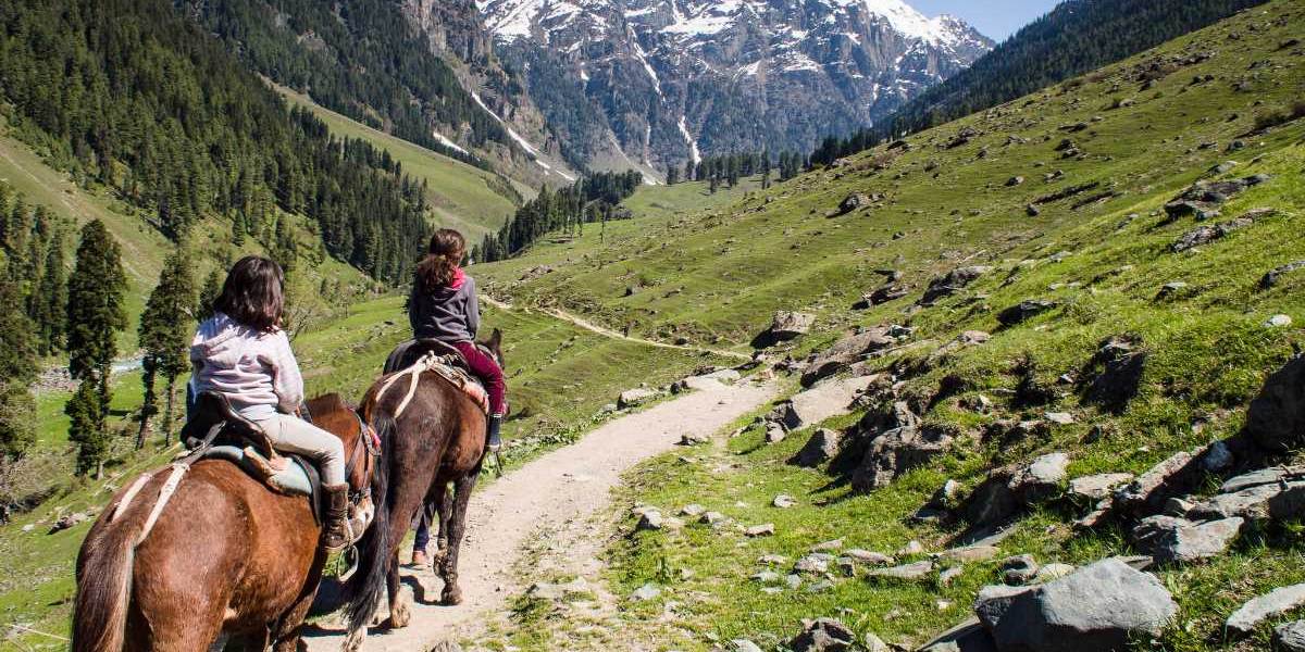 Kashmir Adventure: Jammu to Sonmarg, Pahalgam & Gulmarg Tour