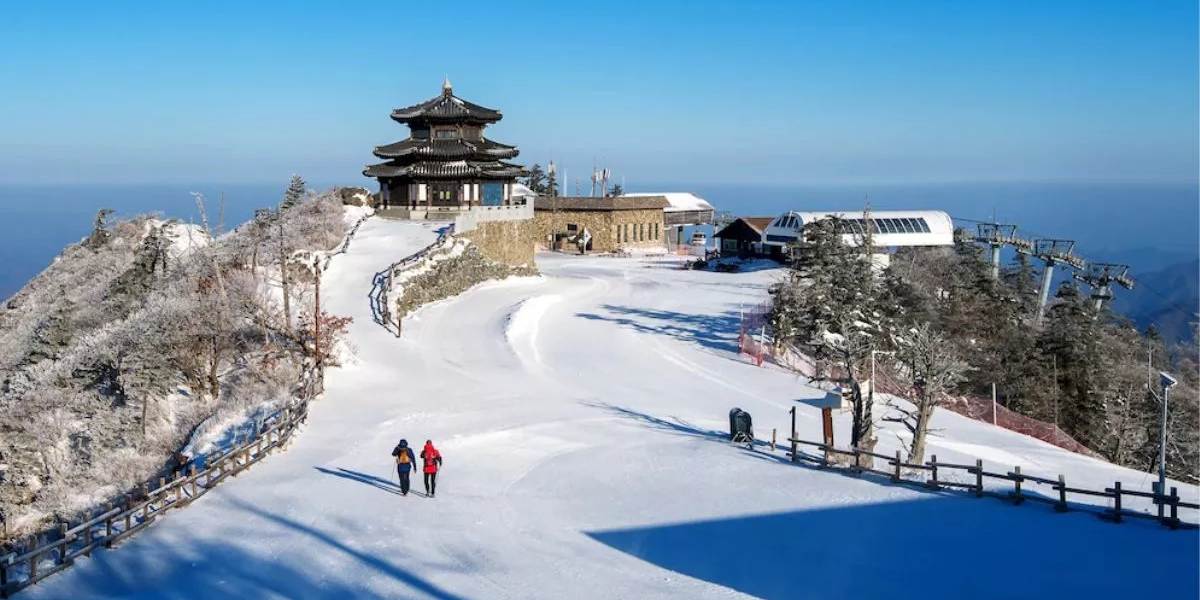 Dalhousie and Amritsar Heritage Escape from Chandigarh