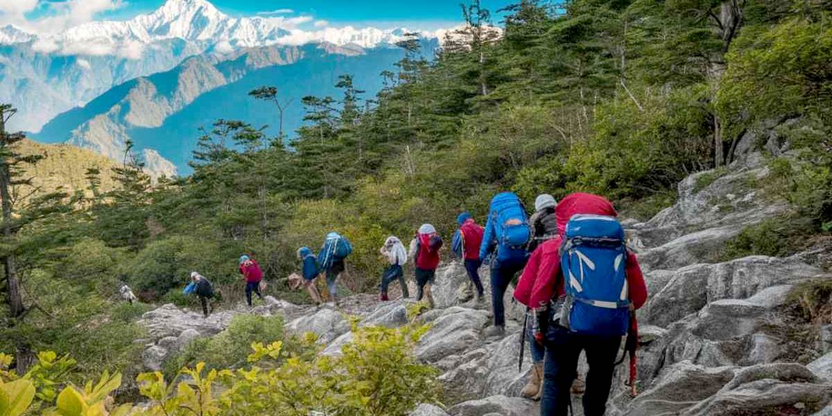 Scenic Hill Tour: Chandigarh to Shimla & Manali