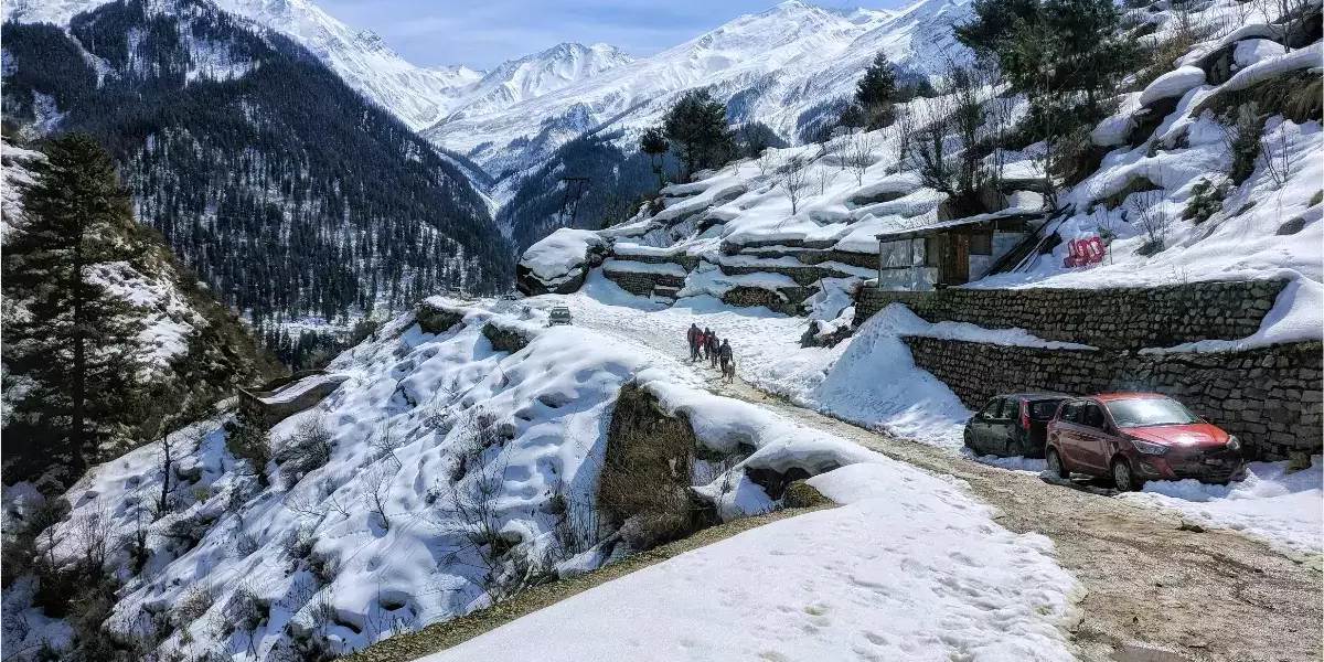 Scenic Hill Tour: Chandigarh to Shimla & Manali