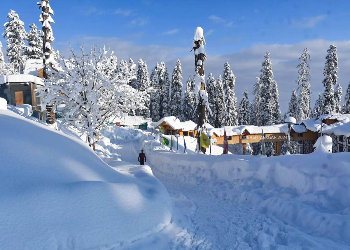 Chandigarh to Manali Shimla Tour