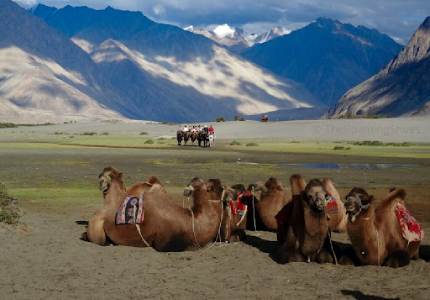 Leh Taxi Service