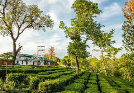 Palampur Taxi Service